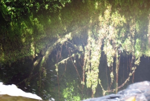 Excursión Privada a Caballo a la Cascada de Tres Chorros