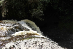 Excursión Privada a Caballo a la Cascada de Tres Chorros