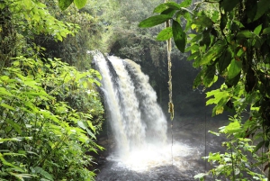 Excursión Privada a Caballo a la Cascada de Tres Chorros