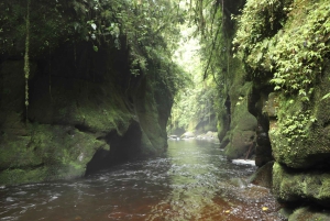 Excursión Privada a Caballo a la Cascada de Tres Chorros
