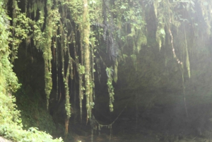 Excursión Privada a Caballo a la Cascada de Tres Chorros