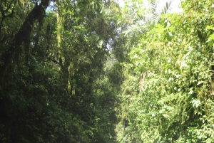 Excursión Privada a Caballo a la Cascada de Tres Chorros