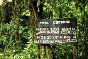 Tres Chorrosin vesiputous – yksityinen ratsastusretki