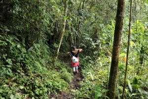 Tres Chorrosin vesiputous – yksityinen ratsastusretki