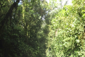 Tres Chorrosin vesiputous – yksityinen ratsastusretki