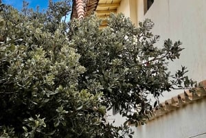 TUNJA – BAROKK CHARME OG KOLONIALE HEMMELIGHEDER