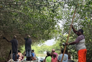 Almoço típico na praia, passeio pelos manguezais e pesca com os nativos
