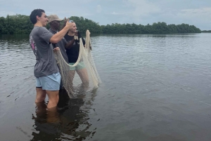Almoço típico na praia, passeio pelos manguezais e pesca com os nativos