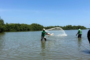 Almoço típico na praia, passeio pelos manguezais e pesca com os nativos