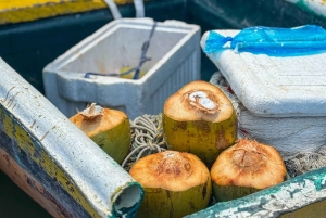 Almoço típico na praia, passeio pelos manguezais e pesca com os nativos