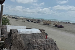 Almoço típico na praia, passeio pelos manguezais e pesca com os nativos