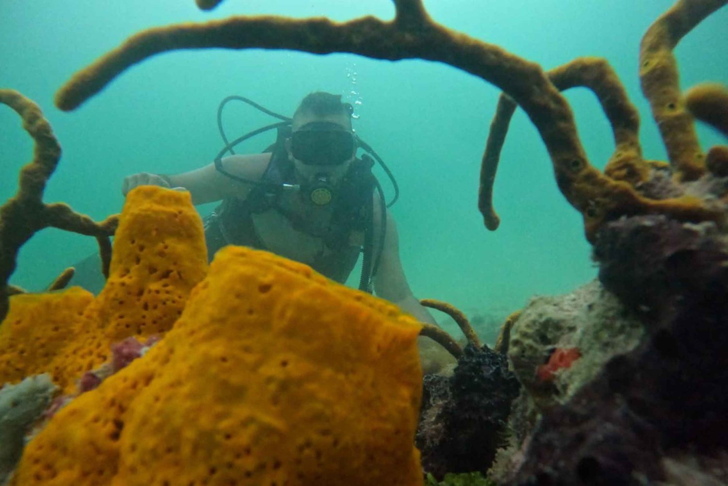 Unter den Tiefen: Tauche ein in das Abenteuer Tauchen