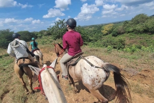 Excursión en UTV y a caballo con vistas de la fauna salvaje desde Cartagena