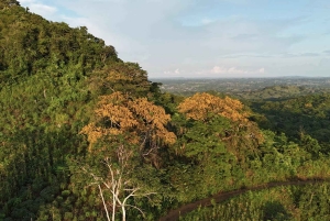 Excursión en UTV y a caballo con vistas de la fauna salvaje desde Cartagena