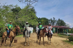 Excursión en UTV y a caballo con vistas de la fauna salvaje desde Cartagena