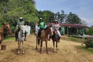 Excursión en UTV y a caballo con vistas de la fauna salvaje desde Cartagena