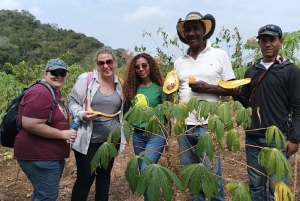Excursión en UTV y a caballo con vistas de la fauna salvaje desde Cartagena