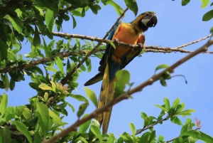 Excursión en UTV y a caballo con vistas de la fauna salvaje desde Cartagena