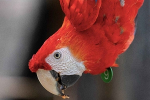 Excursión en UTV y a caballo con vistas de la fauna salvaje desde Cartagena