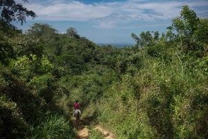 Excursión en UTV y a caballo con vistas de la fauna salvaje desde Cartagena