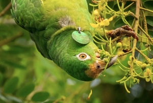 Excursión en UTV y a caballo con vistas de la fauna salvaje desde Cartagena