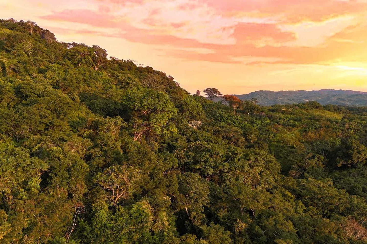 ビジャヌエバフンダシオン・ロロス サンセットツアー（ワイン試飲付