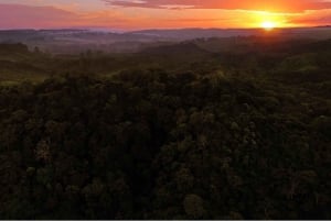 Villanueva: visite au coucher du soleil de la Fundación Loros avec dégustation de vin