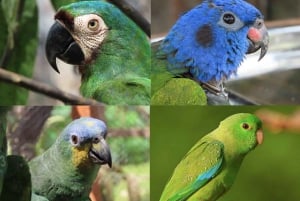 Villanueva: visite au coucher du soleil de la Fundación Loros avec dégustation de vin