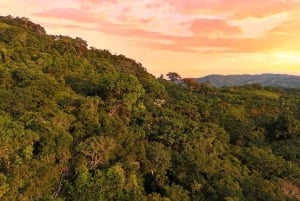 Villanueva: visite au coucher du soleil de la Fundación Loros avec dégustation de vin