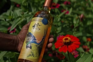 Villanueva: visite au coucher du soleil de la Fundación Loros avec dégustation de vin