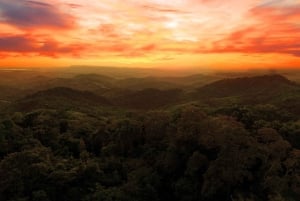 Villanueva: visite au coucher du soleil de la Fundación Loros avec dégustation de vin