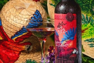 ビジャヌエバフンダシオン・ロロス サンセットツアー（ワイン試飲付