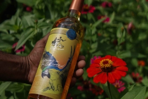 ビジャヌエバフンダシオン・ロロス サンセットツアー（ワイン試飲付