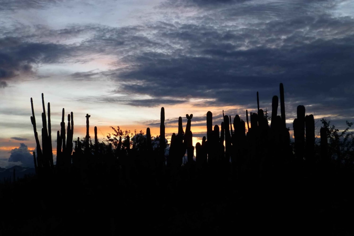 Villavieja: Tatacoa Wüste Reiten Tour