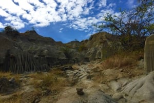 Villavieja: Tatacoa Wüste Reiten Tour