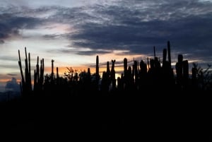 Villavieja: Tatacoa Wüste Reiten Tour