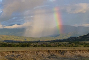 Villavieja: Tatacoa Wüste Reiten Tour