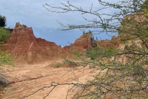 Villavieja: Tatacoa Wüste Reiten Tour