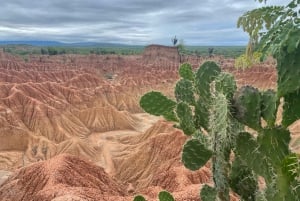Villavieja: Tatacoa Wüste Reiten Tour