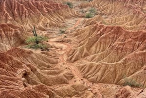 Villavieja: Tatacoa Wüste Reiten Tour