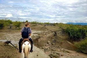 Villavieja: Tatacoa Wüste Reiten Tour
