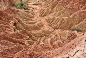 Villavieja: Tatacoa Wüste Reiten Tour