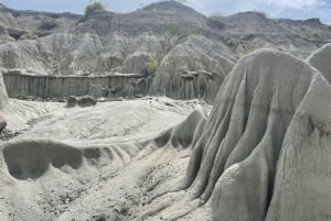 Villavieja: Tatacoa Wüste Reiten Tour