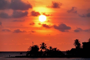 VIP 5 ilhas com almoço, rum, vodca, cerveja, mergulho com snorkel, plâncton