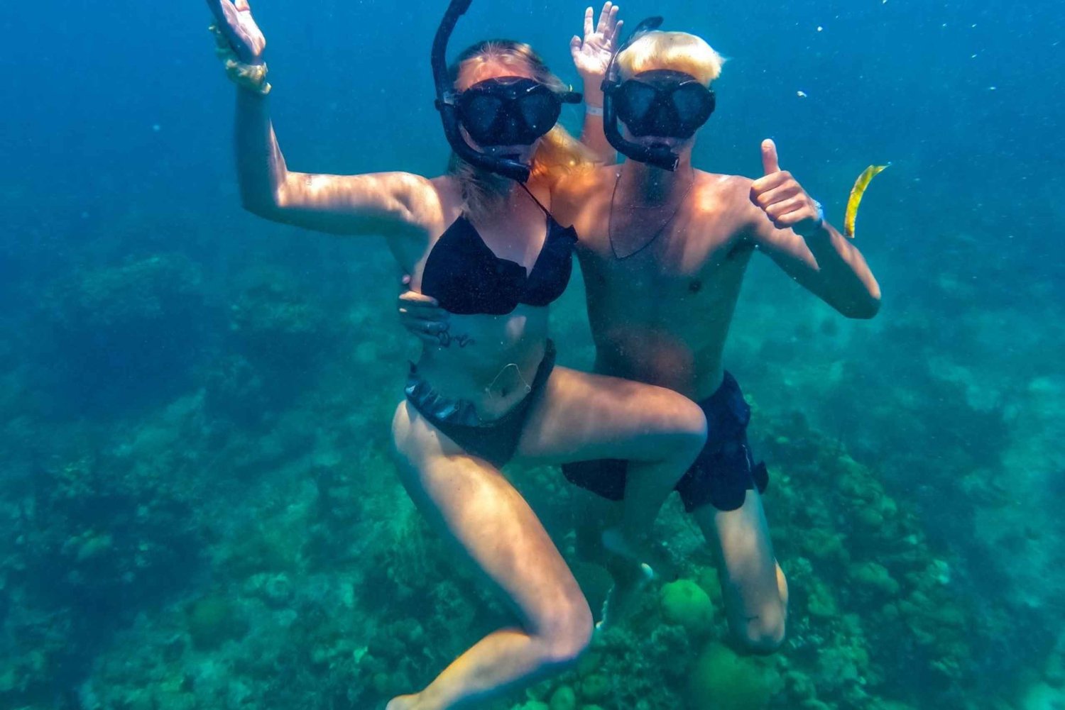 VIP Tour 5 Rosario Eilanden vanuit Cartagena: Een Onvergetelijk Avontuur!