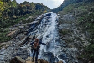Escape from Medellín: hiking to a beautiful and giant waterfall in Cisneros.