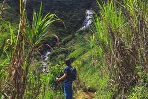 Escape from Medellín: hiking to a beautiful and giant waterfall in Cisneros.