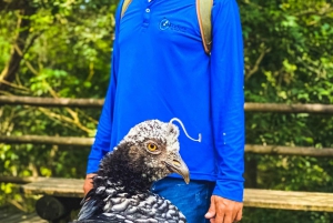 visit the national aviary + spend a quiet beach in baru
