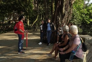 Shared Tour of 'El Poblado' District in Medellin