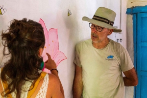 Masterclass sur les abeilles sauvages à Barichara, Colombie